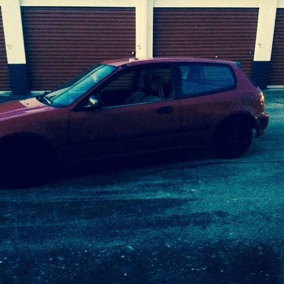 Meet your Posher, Mike - Picture 1 of 1